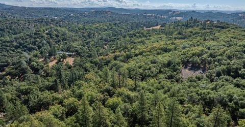 16300 Rossbridge Rd, Jackson, CA 95642 Photo