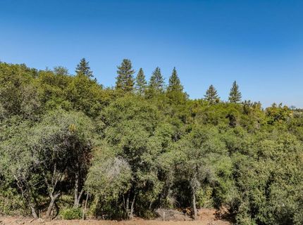 16300 Rossbridge Rd, Jackson, CA 95642 Photo