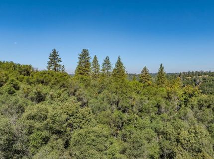 16300 Rossbridge Rd, Jackson, CA 95642 Photo