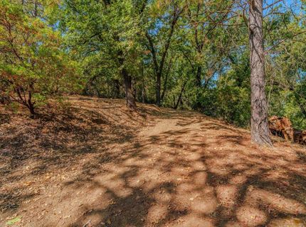 16300 Rossbridge Rd, Jackson, CA 95642 Photo