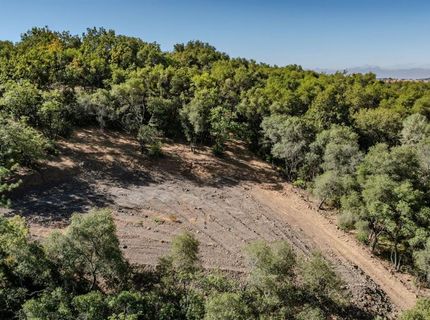 16300 Rossbridge Rd, Jackson, CA 95642 Photo