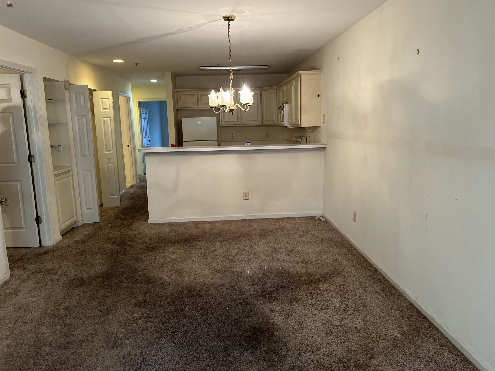 987 Blue Stem Dr. Photo 13