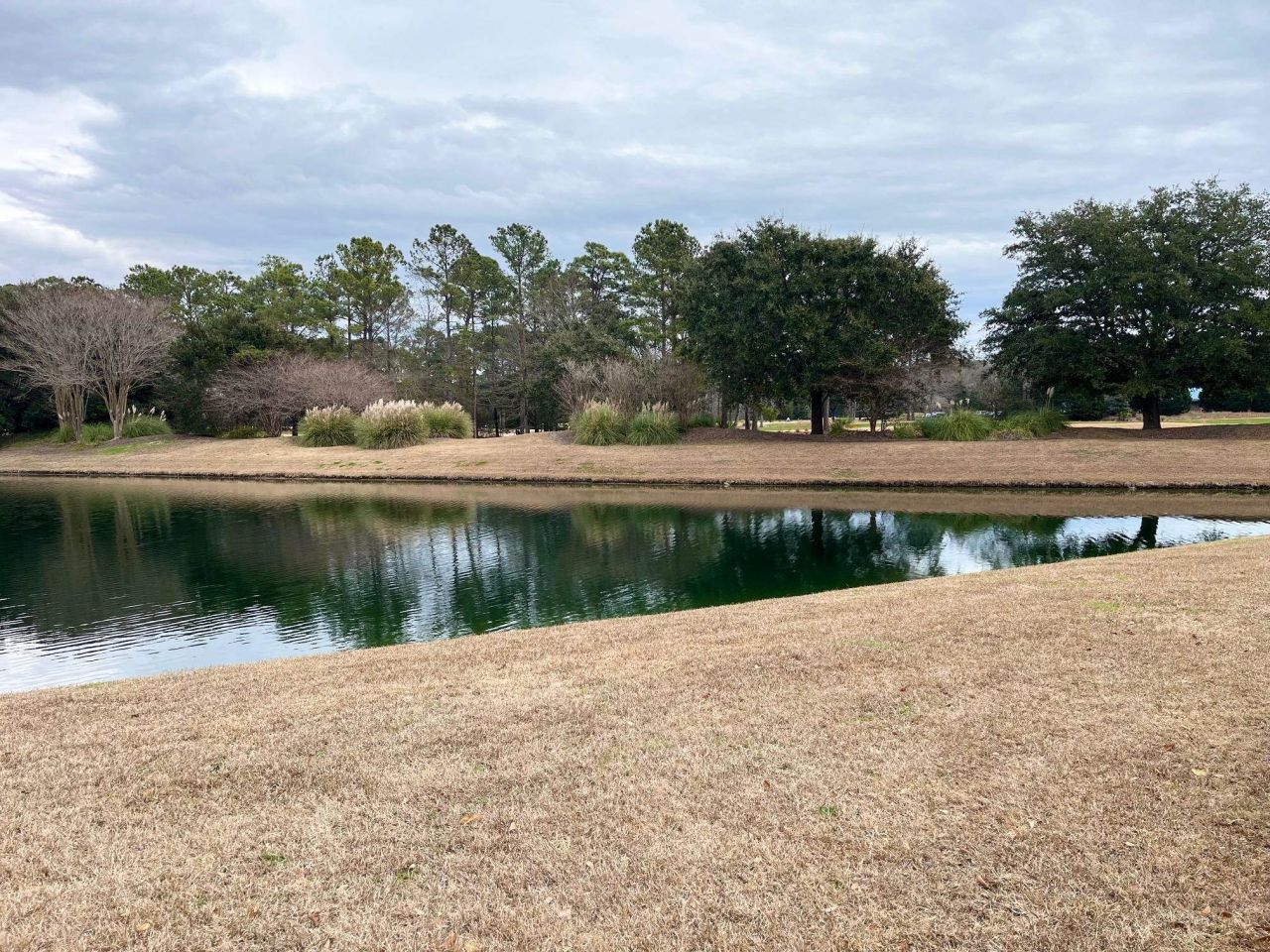 987 Blue Stem Dr. Photo 19