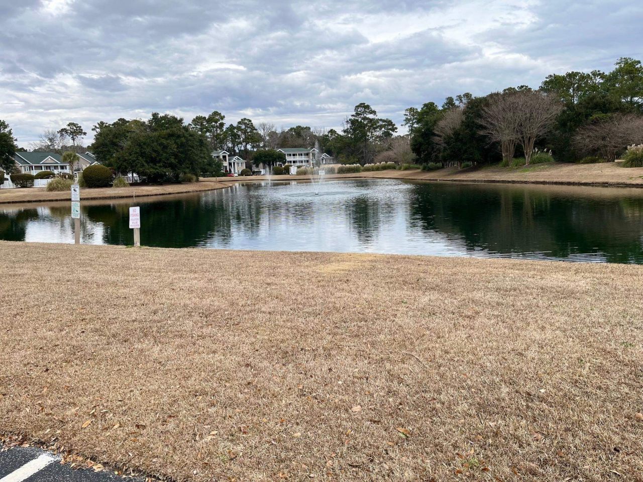 987 Blue Stem Dr. Photo 21