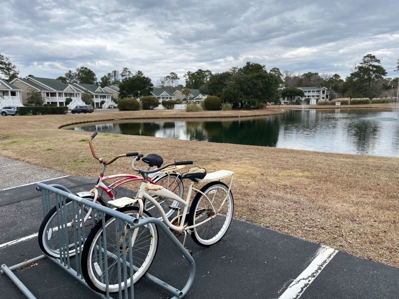 987 Blue Stem Dr. Photo 22