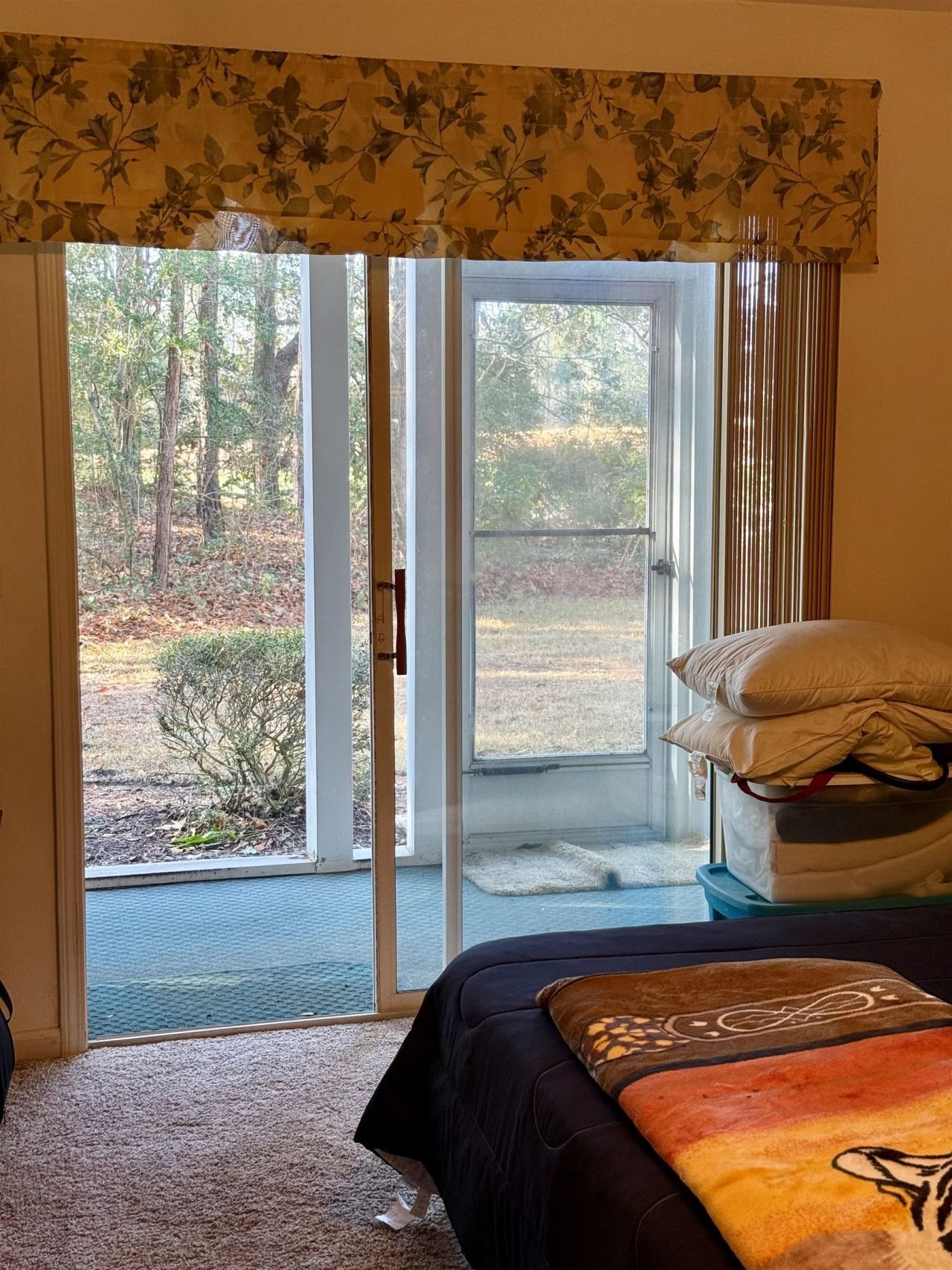 987 Blue Stem Dr. Photo 7