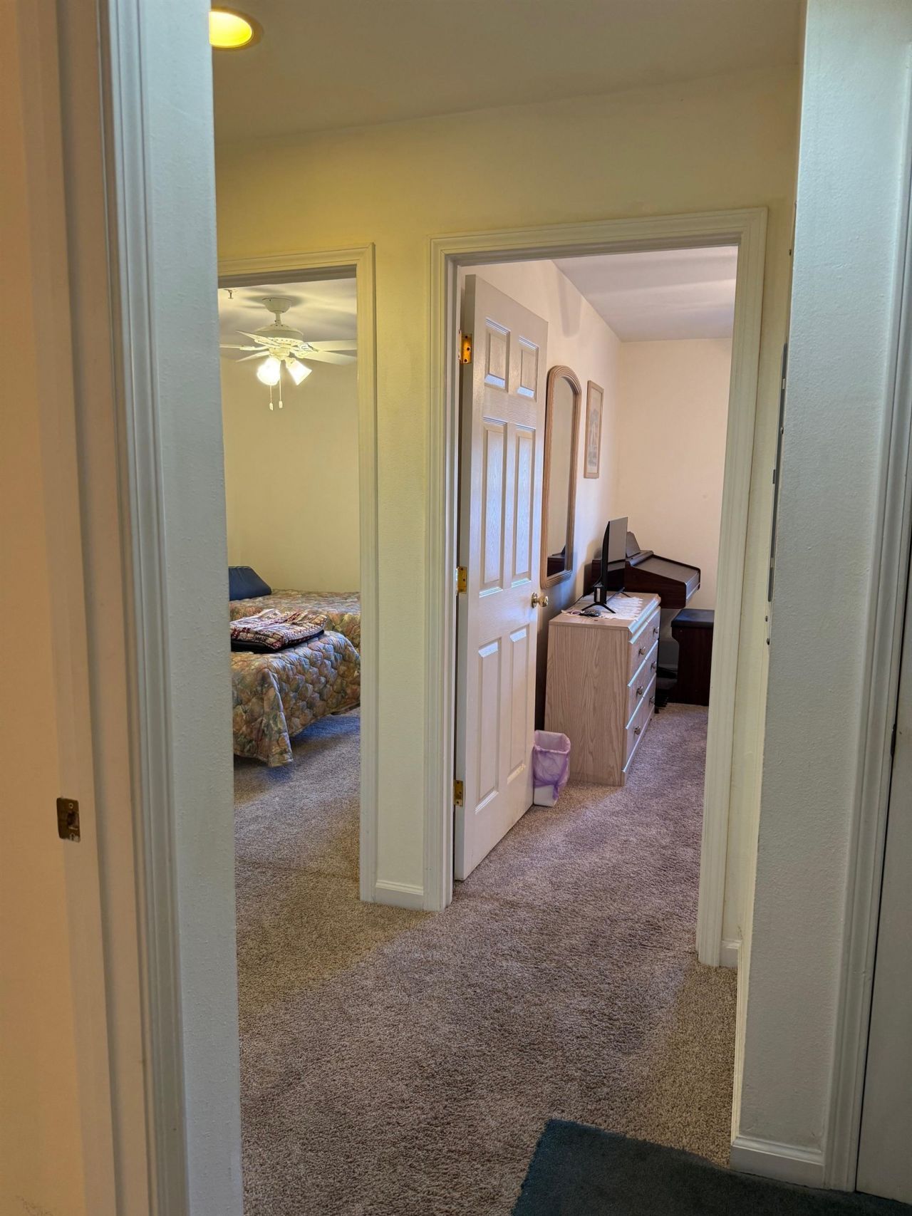 987 Blue Stem Dr. Photo 9