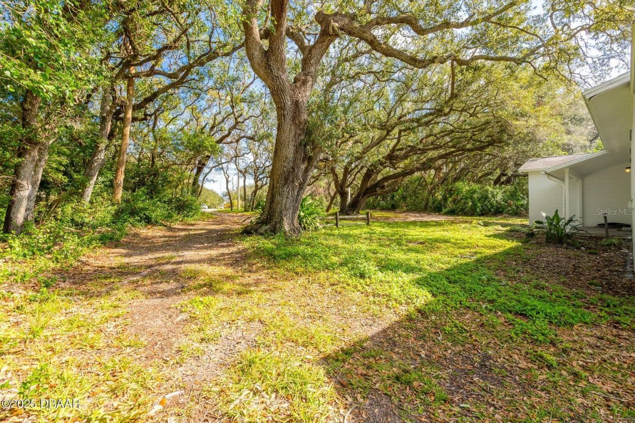 4770 S Peninsula Drive, Ponce Inlet, FL 32127 Photo
