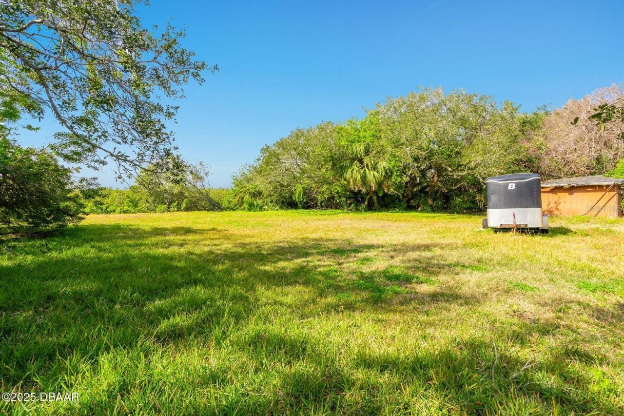 4770 S Peninsula Drive, Ponce Inlet, FL 32127 Photo