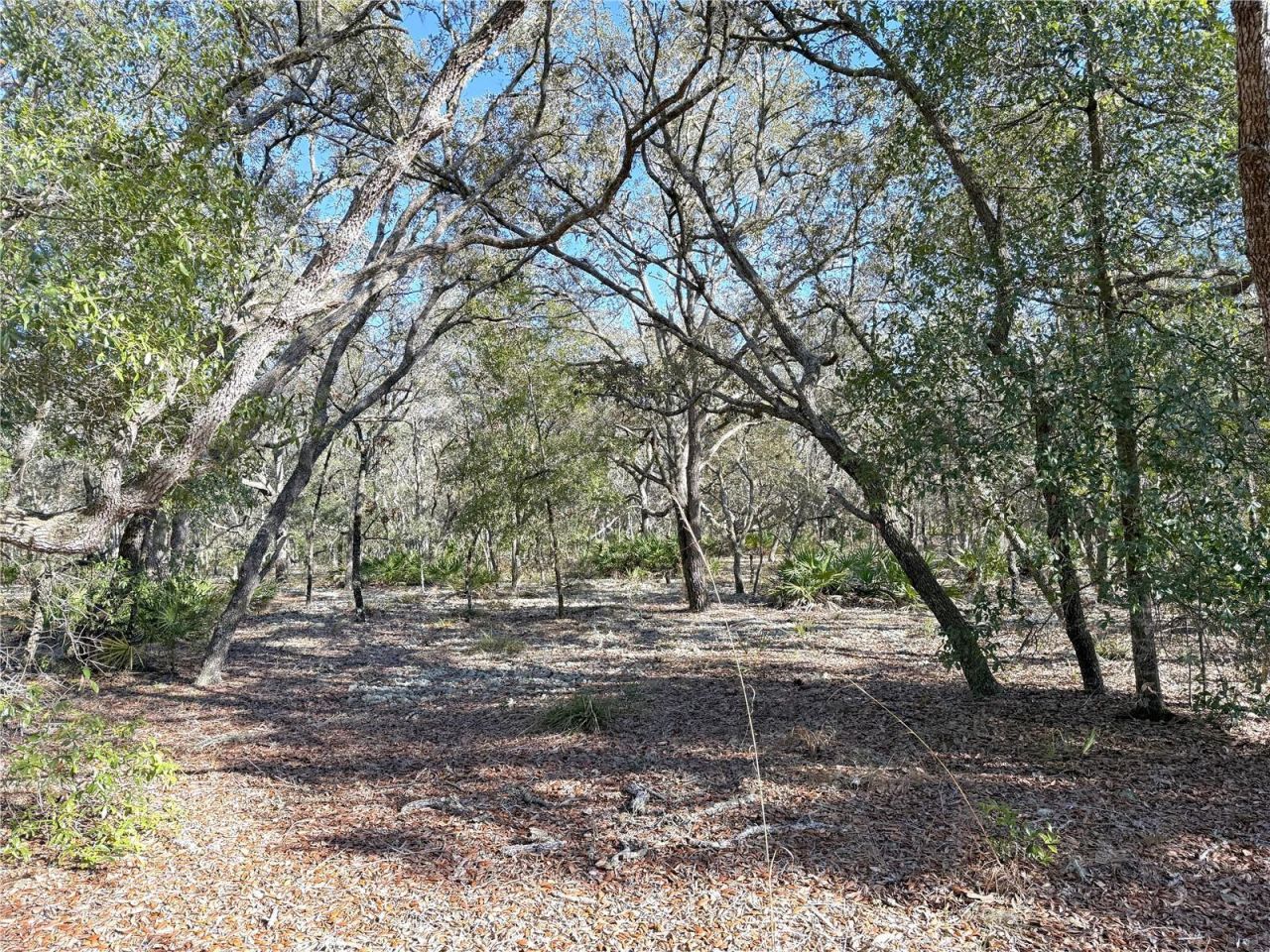 8261 NE 118th Terrace, Bronson, FL 32621 Photo