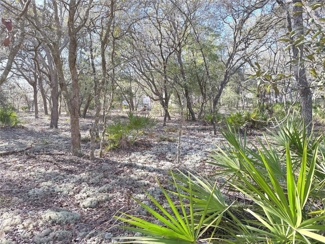 8261 NE 118th Terrace, Bronson, FL 32621 Photo