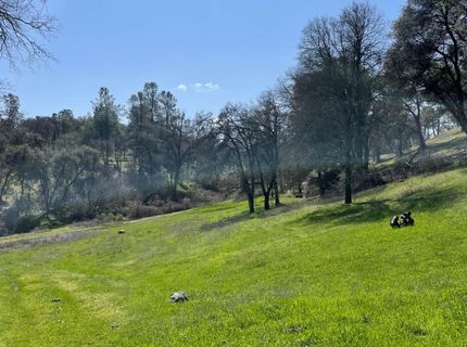 6715 Grass Valley Hwy, Auburn, CA 95602 Photo