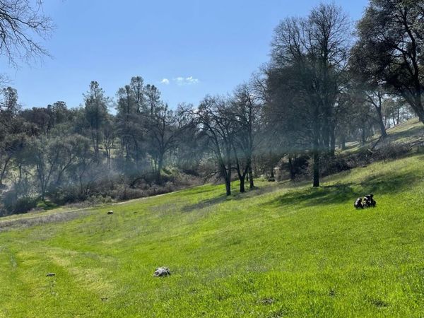 6715 Grass Valley Hwy, Auburn, CA 95602