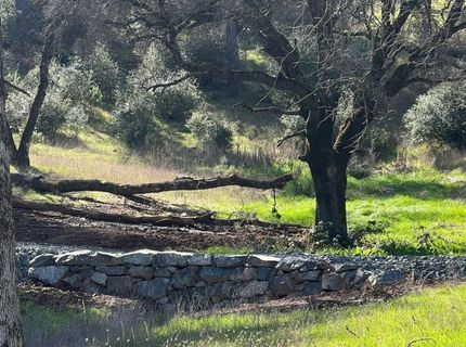 6715 Grass Valley Hwy, Auburn, CA 95602 Photo