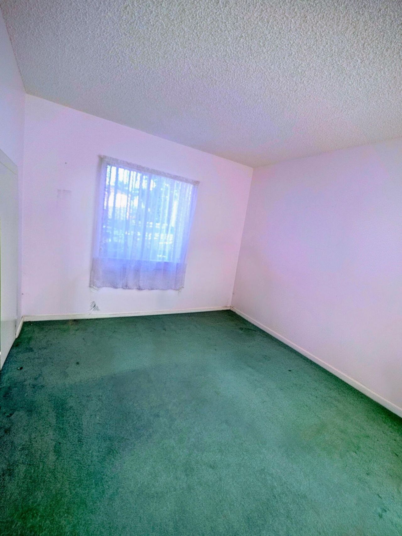 423 Pine Glen Lane, Unit C-1, Greenacres, FL 33463 Photo