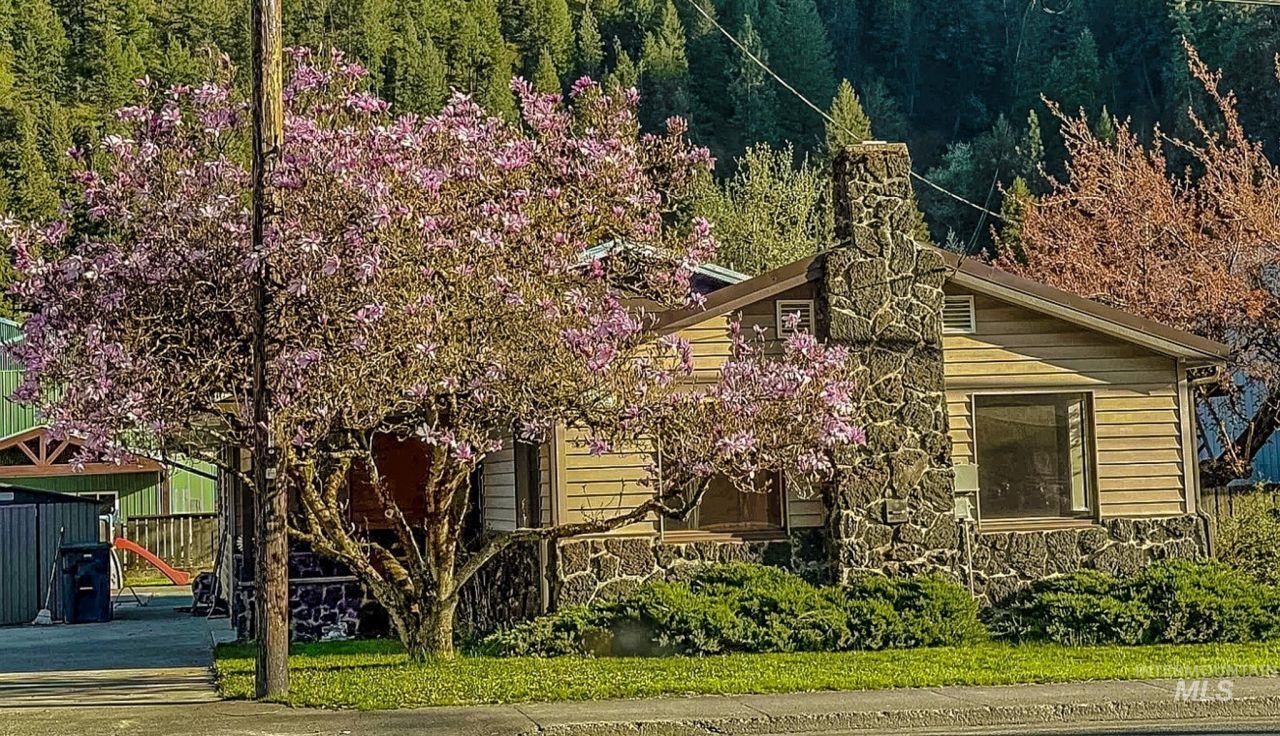 1155 Michigan Ave, Orofino, ID 83544 Main Photo