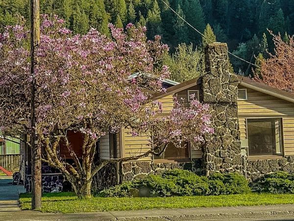 1155 Michigan Ave, Orofino, ID 83544