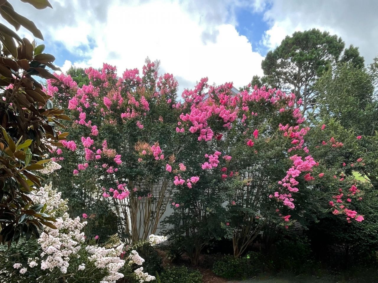 4318 Hope Plantation Drive Photo 38