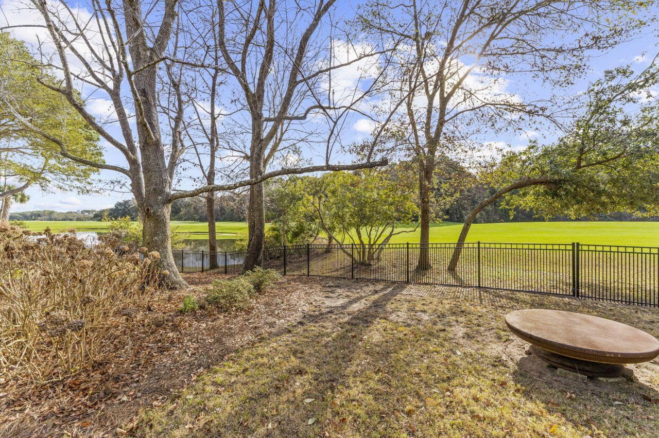 4318 Hope Plantation Drive Photo 45