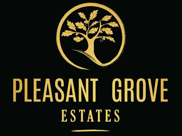 10150 Pleasant Grv Schl Rd, Elk Grove, CA 95624