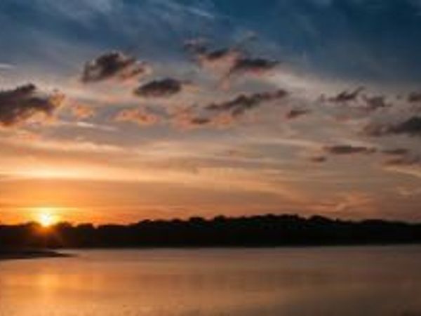 2650 Greenwood Terrace, Unit 1250, Boca Raton, FL 33431