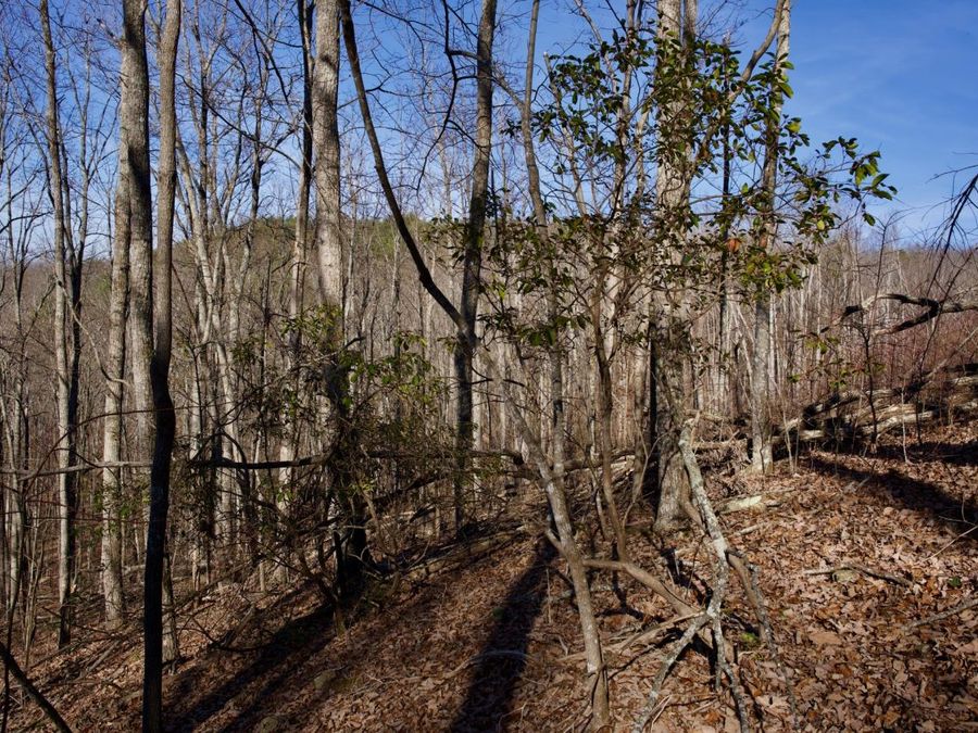 Property Image 16