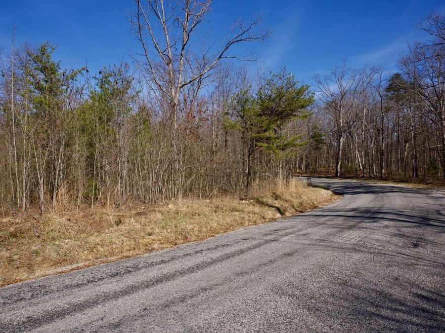 Property Image 4
