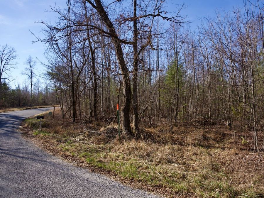 Property Image 5