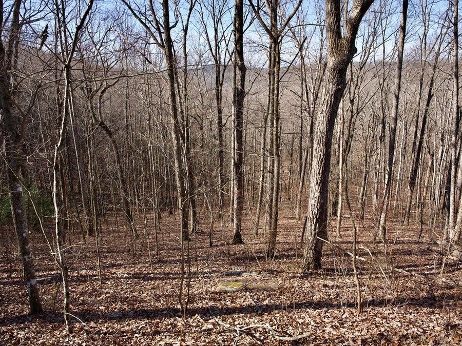 Property Image 19