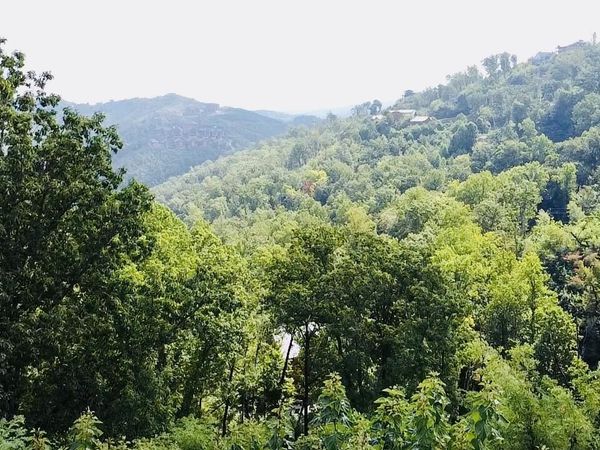 670 Pinecrest Drive, Gatlinburg, TN 37738