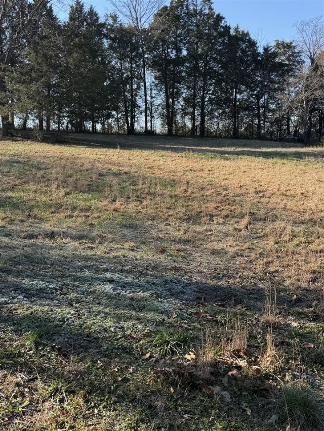 Lot 22 Cedar Springs Drive, Bowling Green, KY 42101 Main Photo