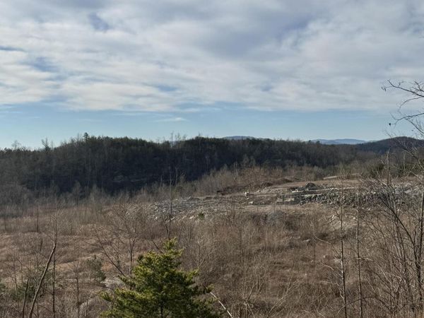 Pine Mountain Rd, Jellico, TN 37762