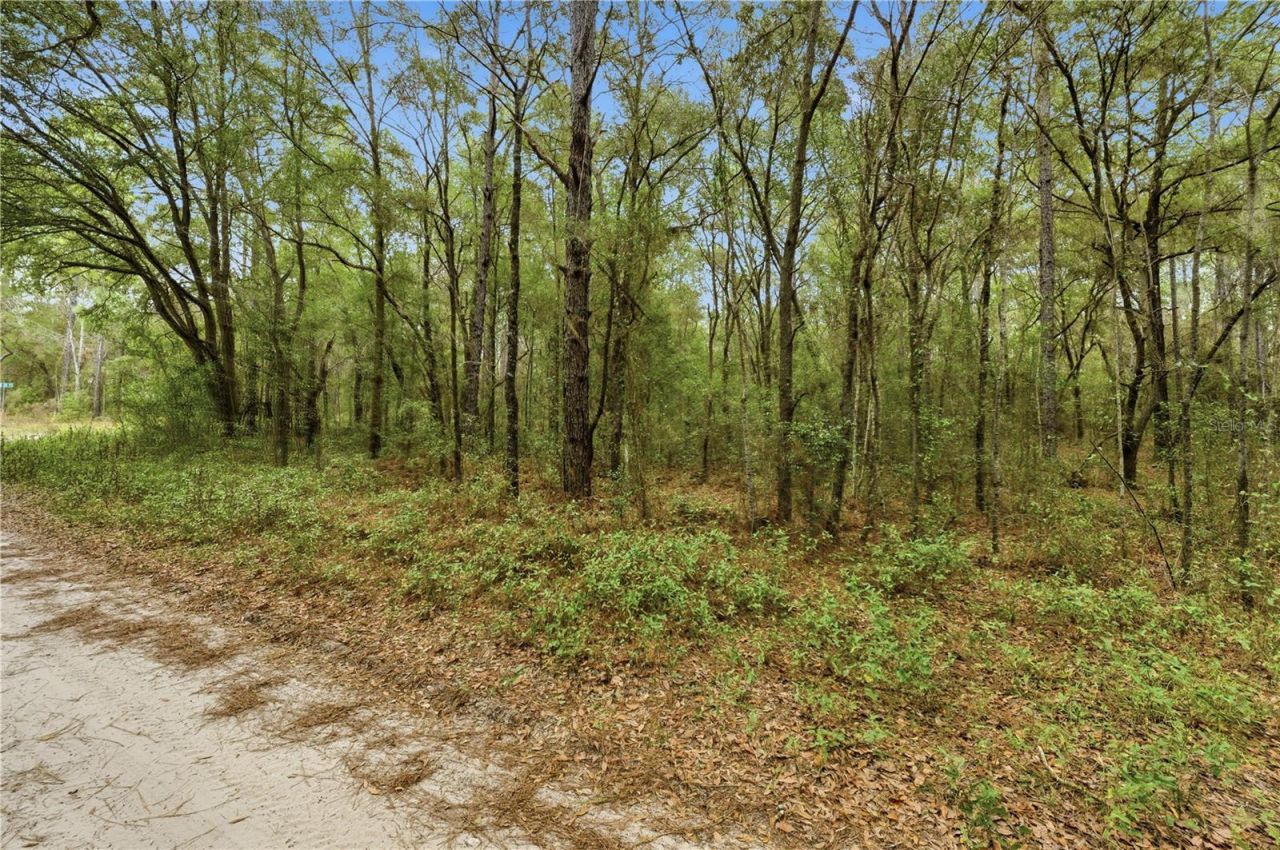 Sw 36th Loop, Dunnellon, FL 34432 Photo