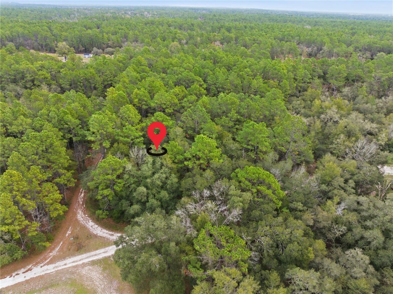 Sw 36th Loop, Dunnellon, FL 34432 Photo