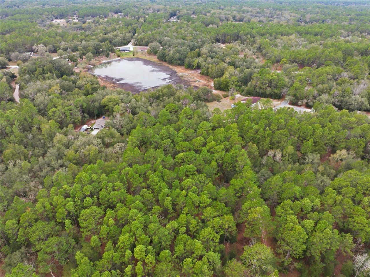 Sw 36th Loop, Dunnellon, FL 34432 Photo