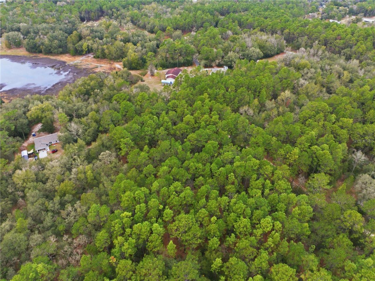 Sw 36th Loop, Dunnellon, FL 34432 Photo