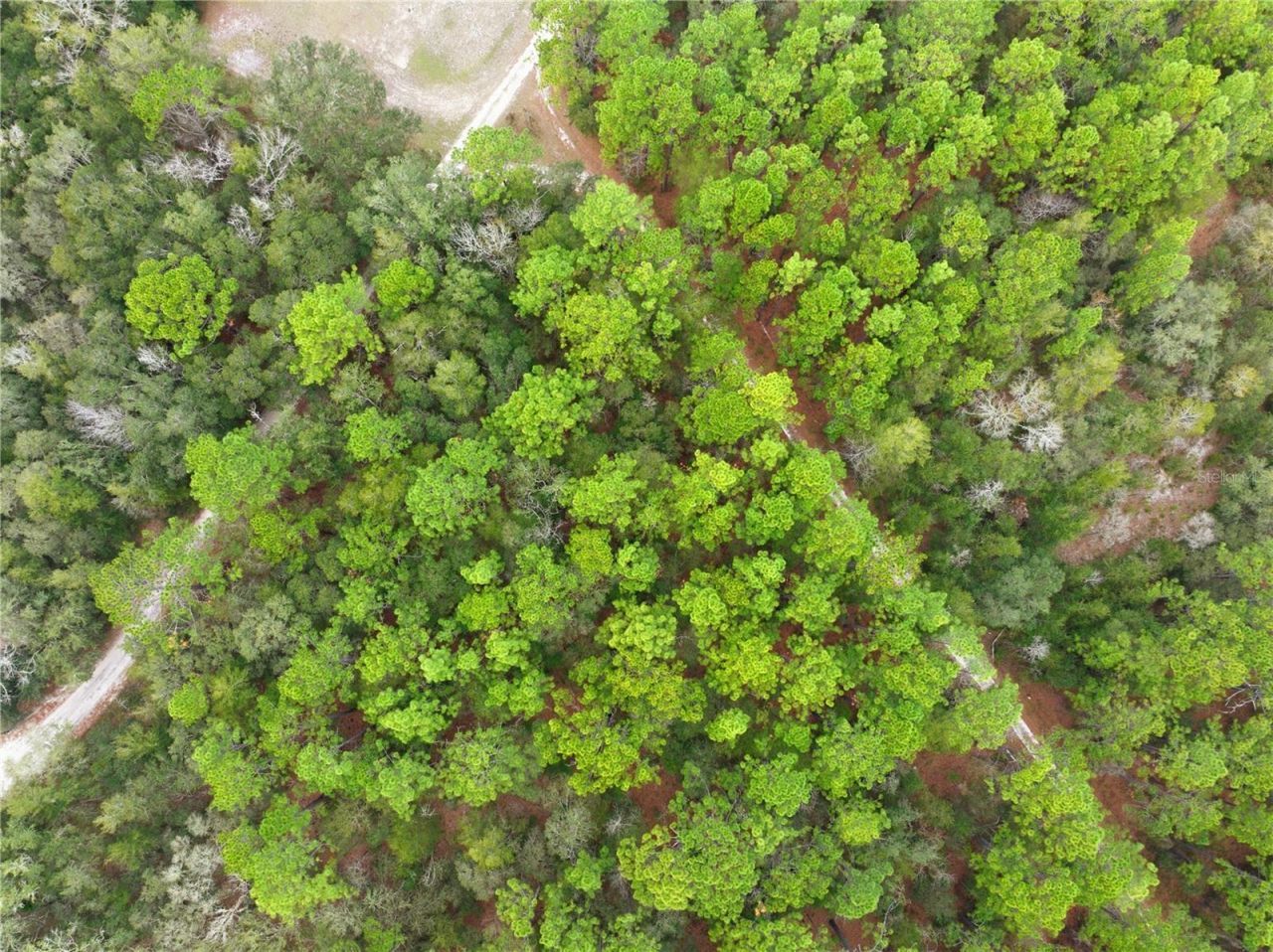 Sw 36th Loop, Dunnellon, FL 34432 Photo