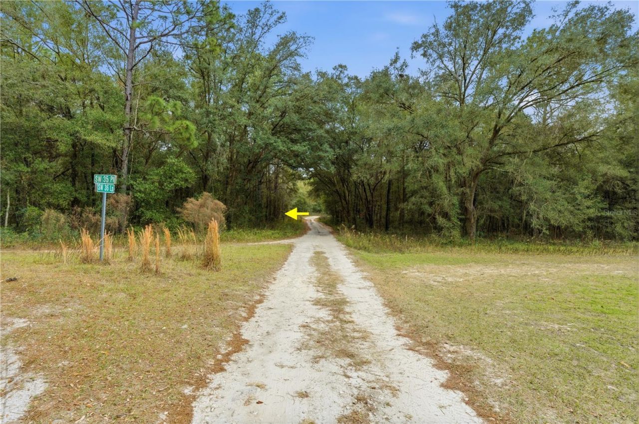 Sw 36th Loop, Dunnellon, FL 34432 Photo