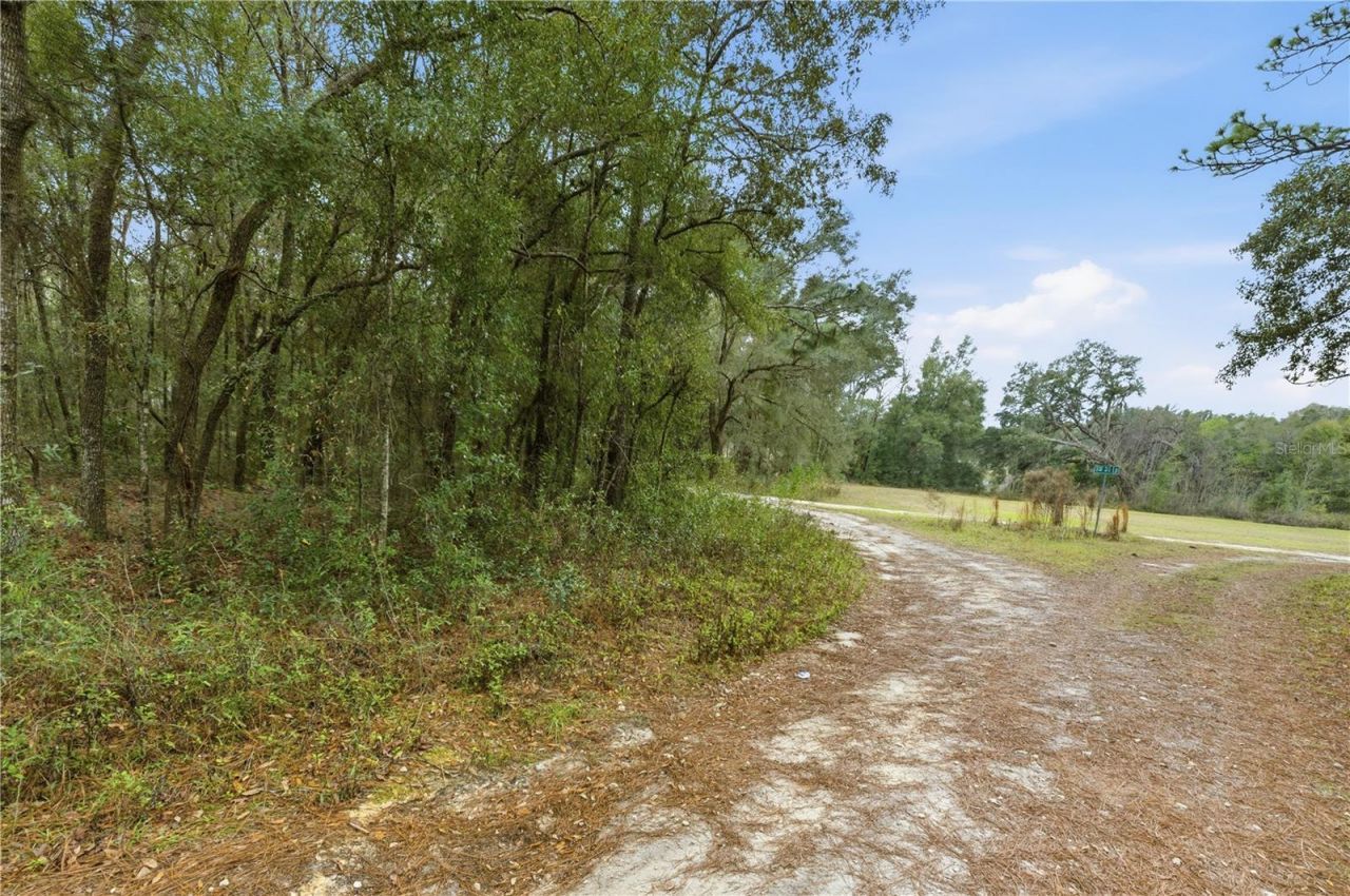 Sw 36th Loop, Dunnellon, FL 34432 Photo