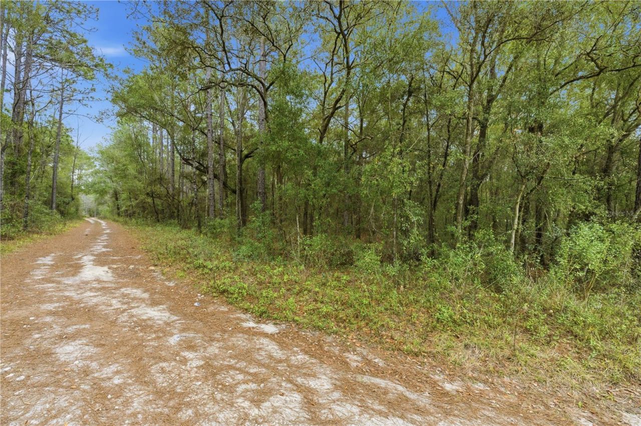 Sw 36th Loop, Dunnellon, FL 34432 Photo