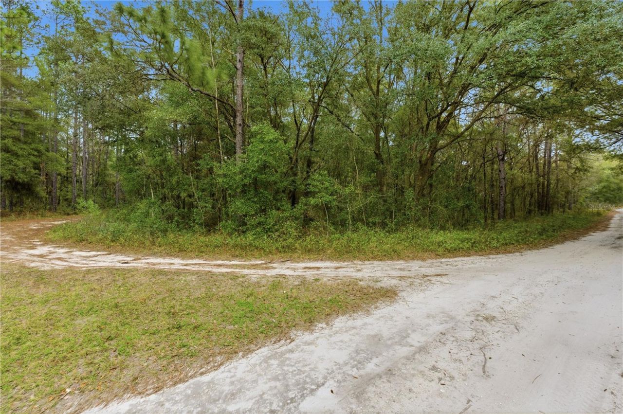 Sw 36th Loop, Dunnellon, FL 34432 Photo