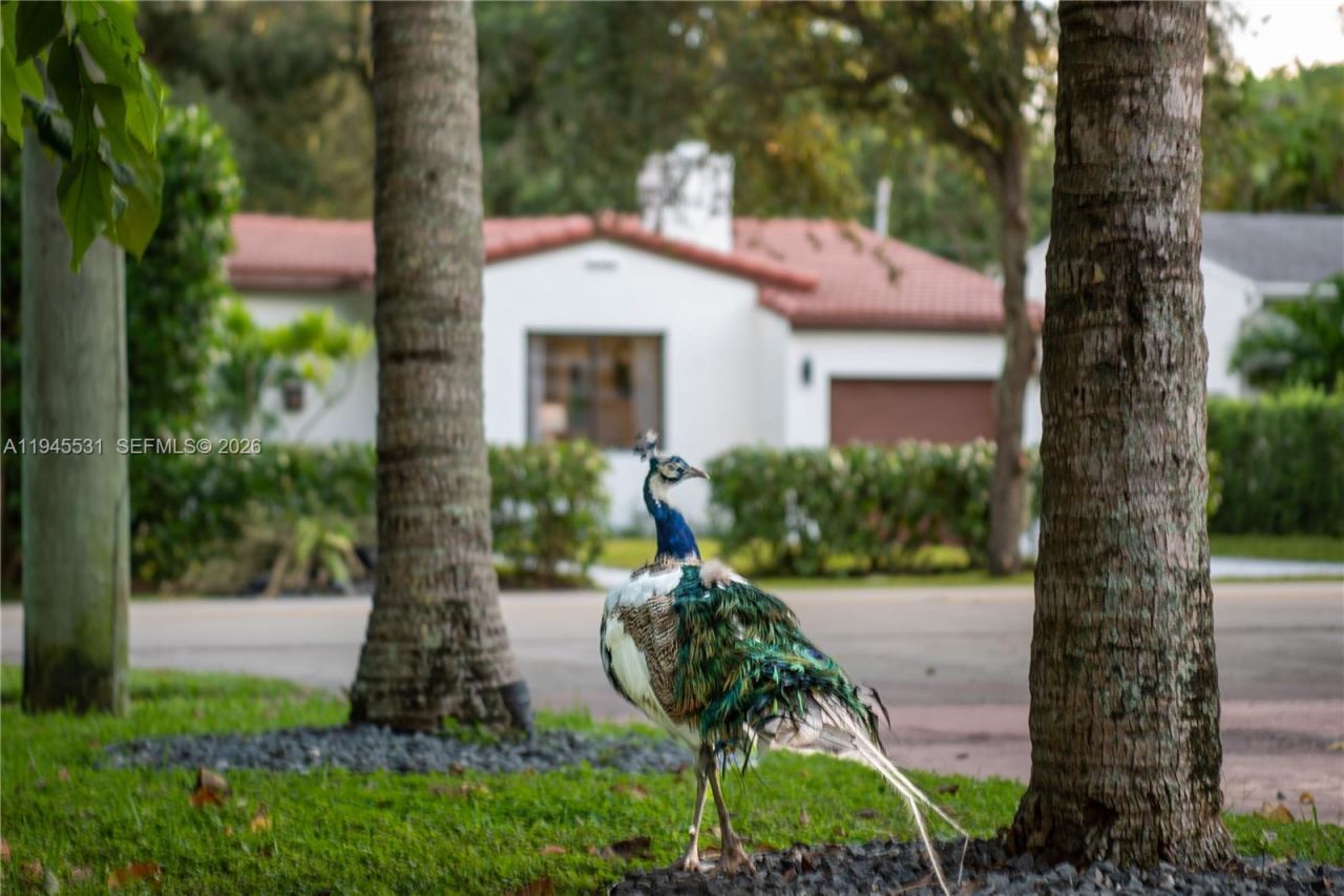 360 NE 87th St, El Portal, FL 33138 Photo