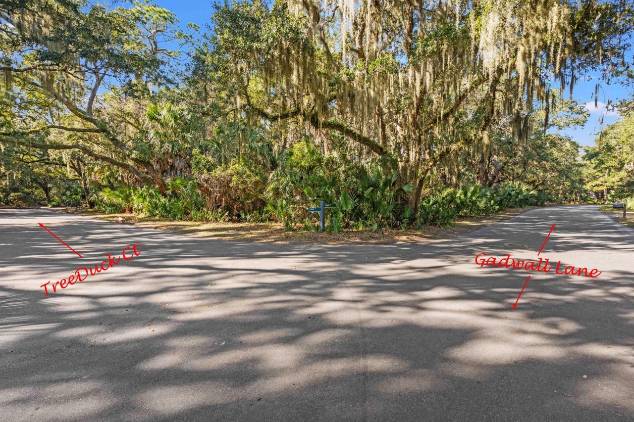 148 Gadwall Lane Photo 2