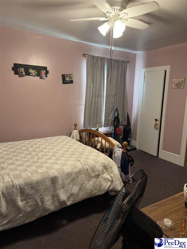 3474 Olanta Highway Photo 17