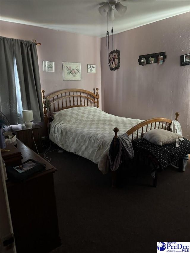 3474 Olanta Highway Photo 18