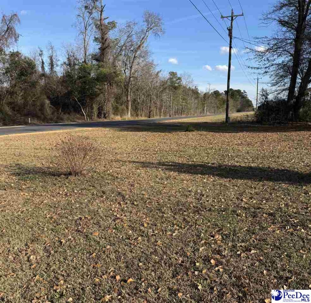 3474 Olanta Highway Photo 23