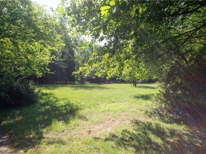 5284 Wilson Mills Road, Richmond Heights, OH 44143 Photo 17