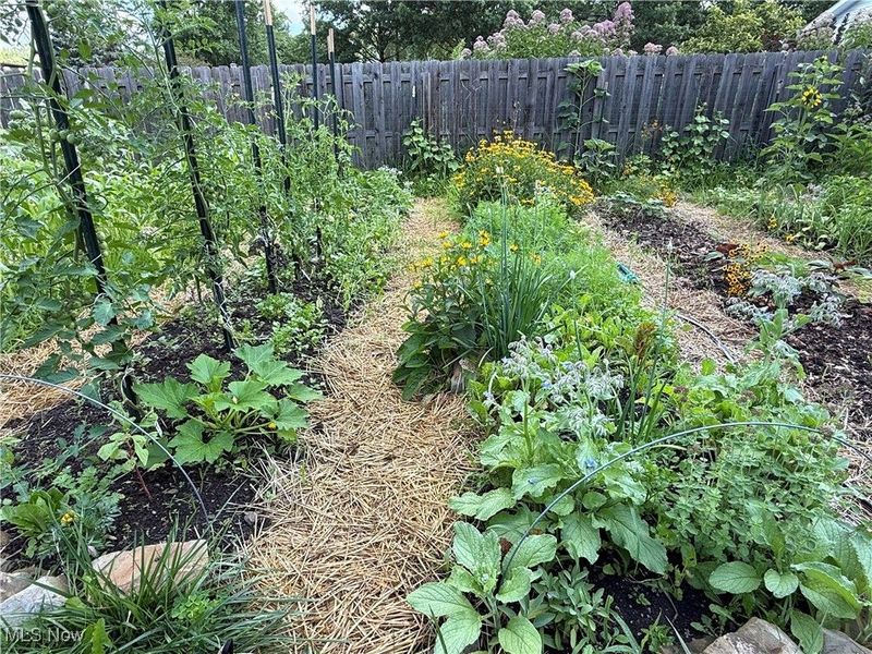 6698 Wildwood Trail, Mayfield Village, OH 44143 Photo 33