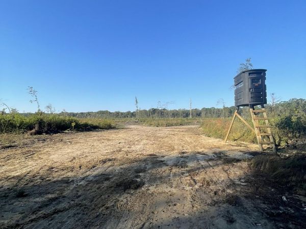 Hwy 490, Louisville, MS 39339