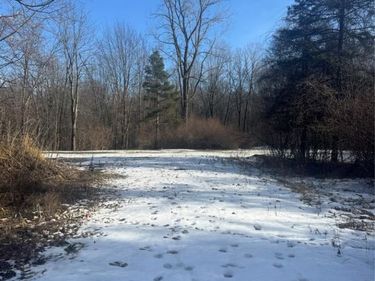14329 Linder Drive, Holly Twp, MI 48442